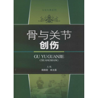 音像骨与关节创伤杨扬震,林允雄 编