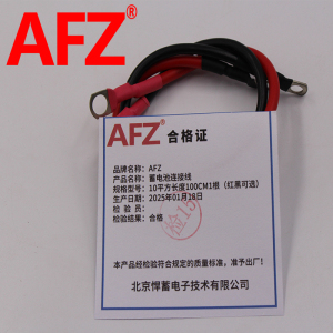 AFZ蓄电池连接线10平方长度100CM(1根红黑可选)