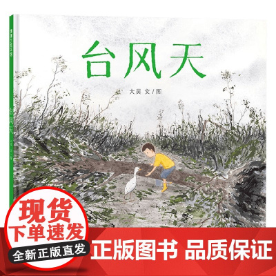 台风天 3-6岁 大吴 著 儿童绘本