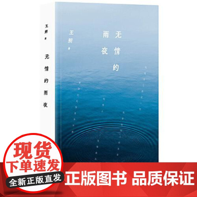 王朔:无情的雨夜(2024年平装) 北京十月文艺出版社