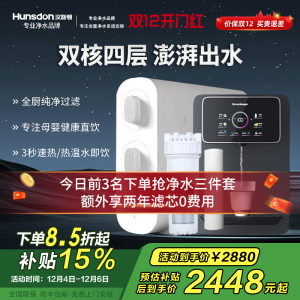 汉斯顿/Hunsdon[国家补贴]家用0阻垢剂净水器管线机套装厨下式净饮机RO反渗透净水机过滤器母婴直饮厨房纯水机D3