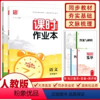 [正版]2024春通城学典课时作业本五年级语文数学下册人教版通成学典5年级下福建少年儿童出版社 单元期中期末测评考试卷