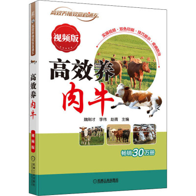 高效养肉牛 视频版