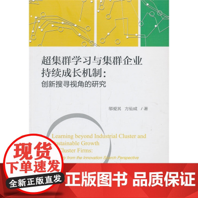 超集群学习与集群企业持续成长机制:创新搜寻视角的研究