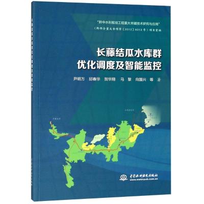 长藤结瓜水库群优化调度及智能监控