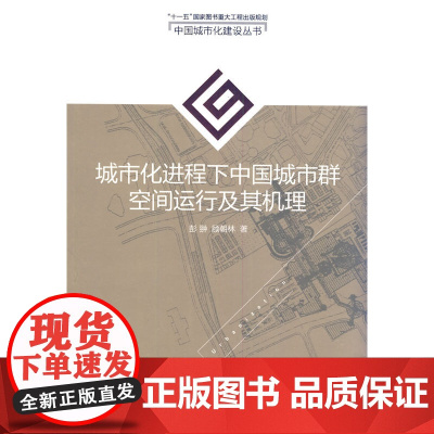 城市化进程下中国城市群空间运行及其机理