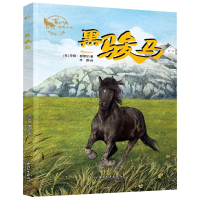 音像黑骏马/经典动物小说(英)安娜·塞缪尔|译者:李露