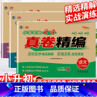 [2025新]语文+数学+英语 毕业升学真题卷 小学升初中 [正版]2025新小学毕业升学真卷精编语数英全国通用小学六年