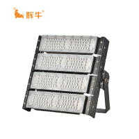 辉牛 LED投光灯 200W(含安装) 台