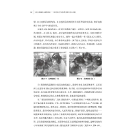 [M]幼儿园综合主题活动 设计技巧与优秀案例(第2版)-9787518438518