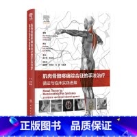 肌肉骨骼疼痛综合征的手法治疗:循证与临床实践进展 [正版]肌肉骨骼疼痛综合征的手法治疗:循证与临床实践进展 2024年5
