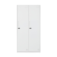 臻远 ZY-WJGD-10 更衣柜员工宿舍储物柜衣物收纳柜 二门