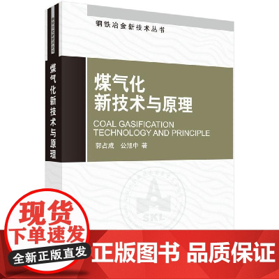 煤气化新技术与原理