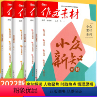 [套装]小众素材4册 全国通用 [正版]2023作文素材小众素材大家金句情理新知素材4本全套 题型新颖时事热点作文大全作