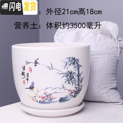 三维工匠特大号花盆陶瓷简约吊兰创意绿萝家用阳台多肉花盆带托盘 303清影特大号+土 特大花盆容器