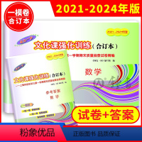 [正版]2021-2024年版中考数学一模卷+答案 合订本 上海初三数学一模卷 领先一步文化课强化训练上海市各区初三初