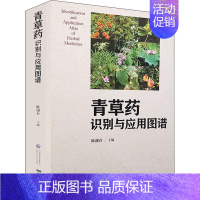 [正版]青草药识别与应用图谱 中草药药材特别鉴别大全 中药图录图册 草药植物特征生长分布采集加工等专业技法教程图书 中医