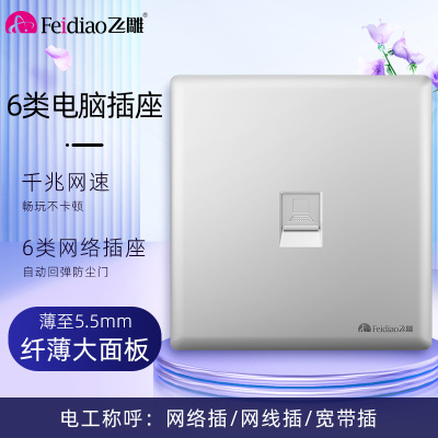 飞雕(FEIDIAO)超薄大板 开关插座格韵系列86型带开关插座面板墙壁电源插座 格韵月光银(六类)电脑插