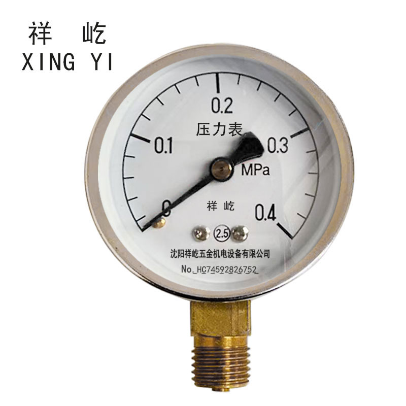 祥屹 压力表检测定制型 Y40 块