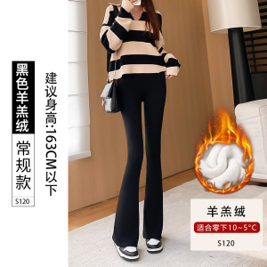 加绒微喇鲨鱼裤女外穿新款秋冬季加厚高腰提臀瑜伽喇叭打底裤