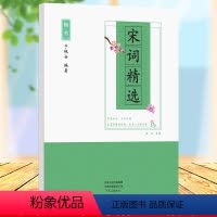 [正版]楷书宋词精选临摹纸三百首楷书字帖带译文扫码朗读硬笔书法字帖成人钢笔字临摹练字古诗词字帖学生基础楷书练字帖350