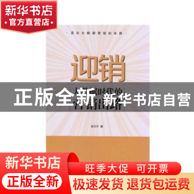 正版 迎销:大数据时代的营销出路 张文升著 南开大学出版社 9787