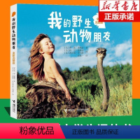 接力出版社《我的野生动物朋友》 [正版]我的动物朋友全新完整版接力出版社一二年级课外书目