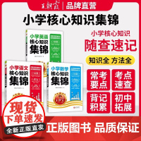 王朝霞核心知识集锦语文基础知识大盘点升学衔接教材一二三四五六年级小学知识大全手册人教版考试总覆习小学知识工具书大盘点
