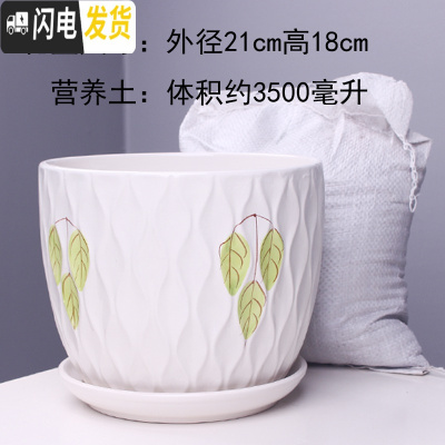 三维工匠特大号花盆陶瓷简约吊兰创意绿萝家用阳台多肉花盆带托盘 56014绿特大号+土 特大花盆容器