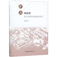 音像扩大河南省农村消费的流通创新研究丁超勋著