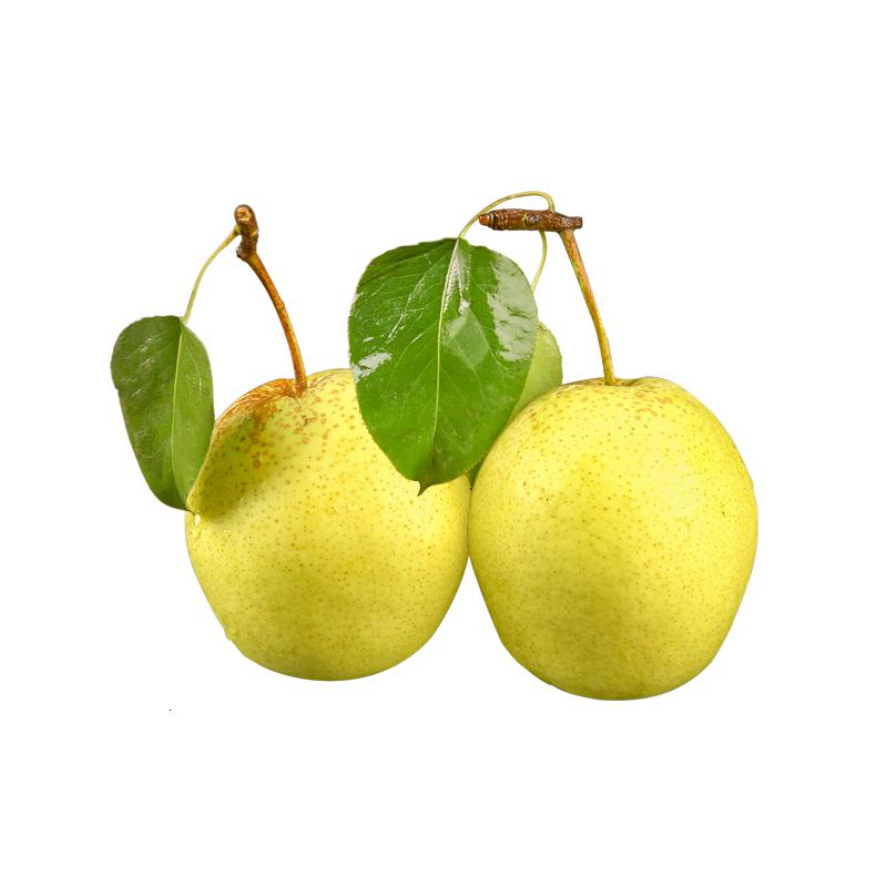 河北雪梨水果梨子赵县特产雪新鲜香梨净重5斤整箱 9斤 大果