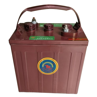 ZHIMING电动车环卫车巡逻车专用蓄电池3-DG-230(3-EV-190)(只)