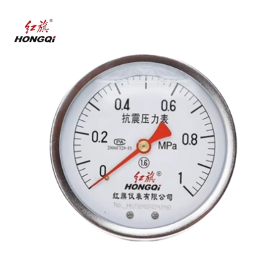 红旗 耐震压力表轴向定制检测款 YTN100Z (压力值需备注) 块