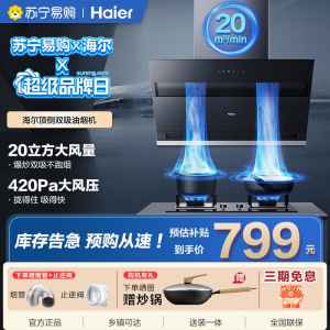 海尔大吸力油烟机家用C6JS