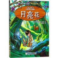 克林克斯丛林奇幻故事:月亮花