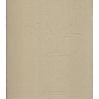 正版新书]追寻至美:闻立鹏一幅历史画和它的前前后后闻立鹏9787