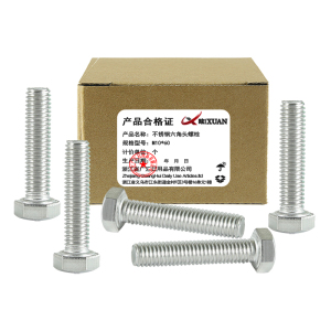 昡 不锈钢六角头螺栓 M10*60 个