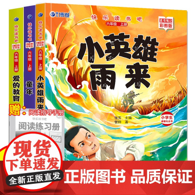 快乐读书吧 六年级上册 小英雄雨来+童年+爱的教育(套装共3册 插图版)知识点手册