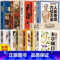 彩绘图解本草纲目养生中草药 [正版]彩绘图解系列中医百科大全 全11册 本草纲目 按摩拔罐刮痧药酒穴位偏方中药材 中草药