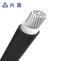兴酉 低压单芯铝电缆 YJLV-1*6 米