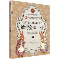 彼得兔去上学
