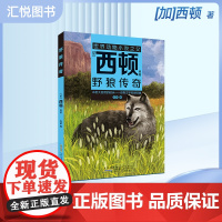 野狼传奇 [加]西顿/ 原著 安韶编/安徽少年儿童出版社fbz外国文学/动物小说