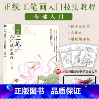 正统工笔画入门技法教程 [正版]正统工笔画入门技法教程 中国画技法入门教程 水墨画工笔临摹图谱 春夏秋冬四季花鸟鱼虫