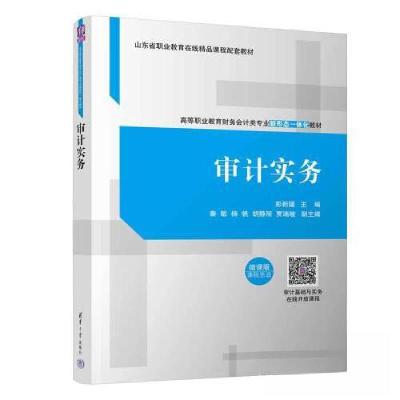 正版新书]审计实务彭新媛;秦敏;杨帆;胡静丽;贾瑞敏97873026
