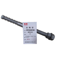 钺瑞倒锥型热镀锌螺丝M20*250/个