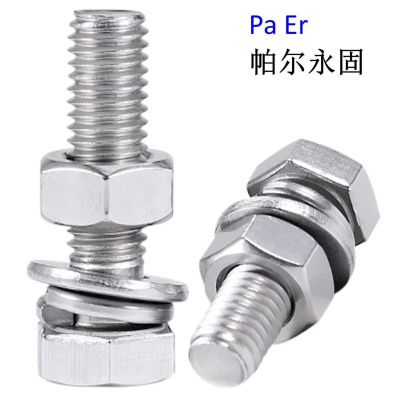 帕尔永固镀锌穿钉(带垫片带母)(M16×100) 套