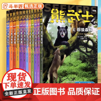 熊武士二部曲1-6全套6册 猫武士作者艾琳.亨特团队的力作暗影之岛迷失之河动物故事书小说课外阅读儿童文学 四只小熊的奇妙