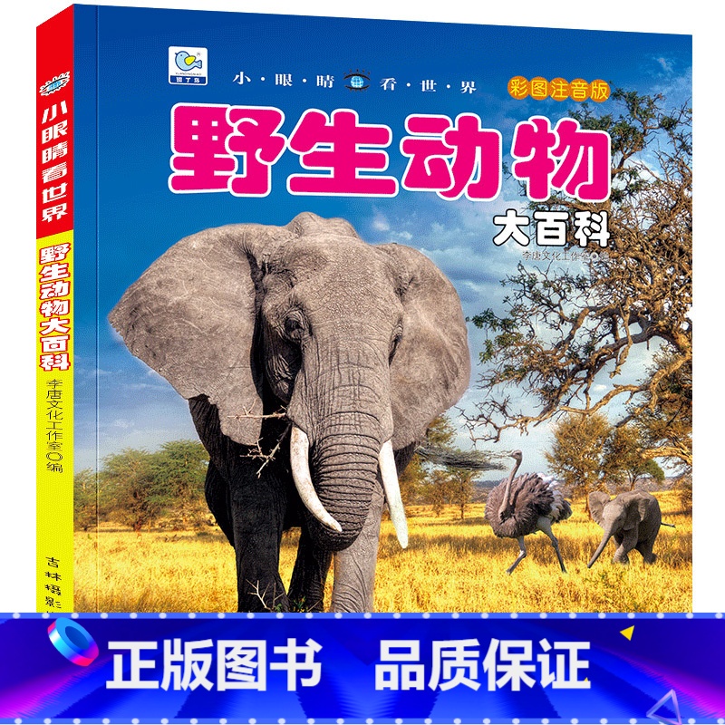 [任选3本39元]野生动物 [正版]飞机百科全书注音版图书儿童书籍科普航空大百科交通工具小百科绘本读物全套科学认知少儿3