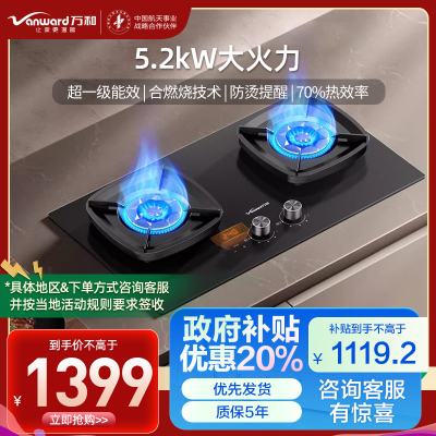 万和(Vanward)[超省星G9·定时无印面板]燃气双灶具5.2kW70%热效率烟灶家用定时关火煤气炉G9L56天然气