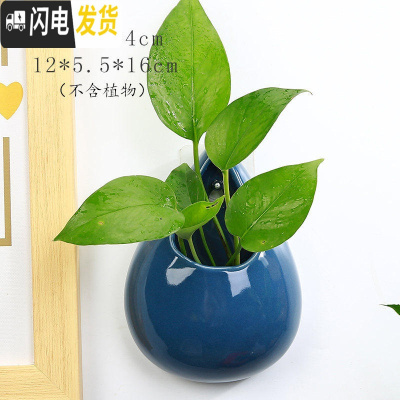 三维工匠水培墙上壁挂花盆半壁陶瓷中式创意阳台悬吊盆免打孔绿萝悬挂饰盆 YY-壁挂-中水滴(蓝) 小花盆容器